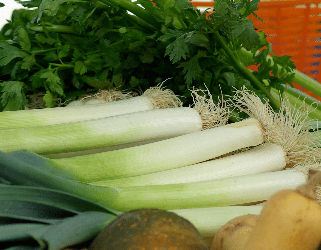 Blanquettes de poulet aux poireaux riz